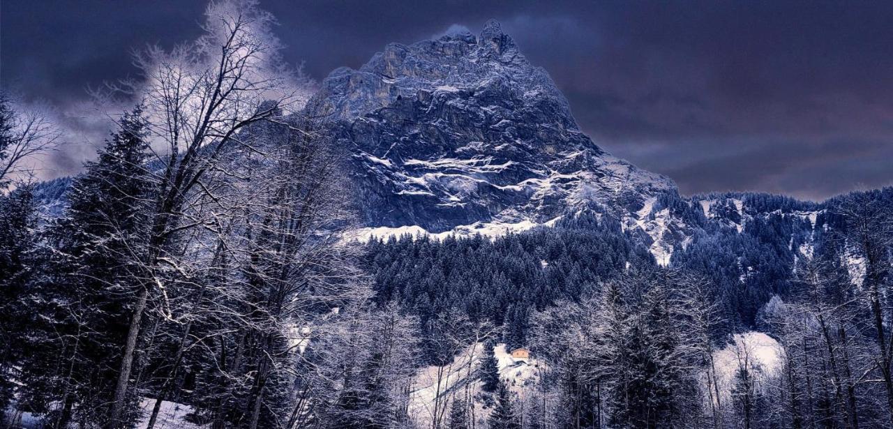 Bueelbad - Relax Holiday Apartment Kandersteg Luaran gambar