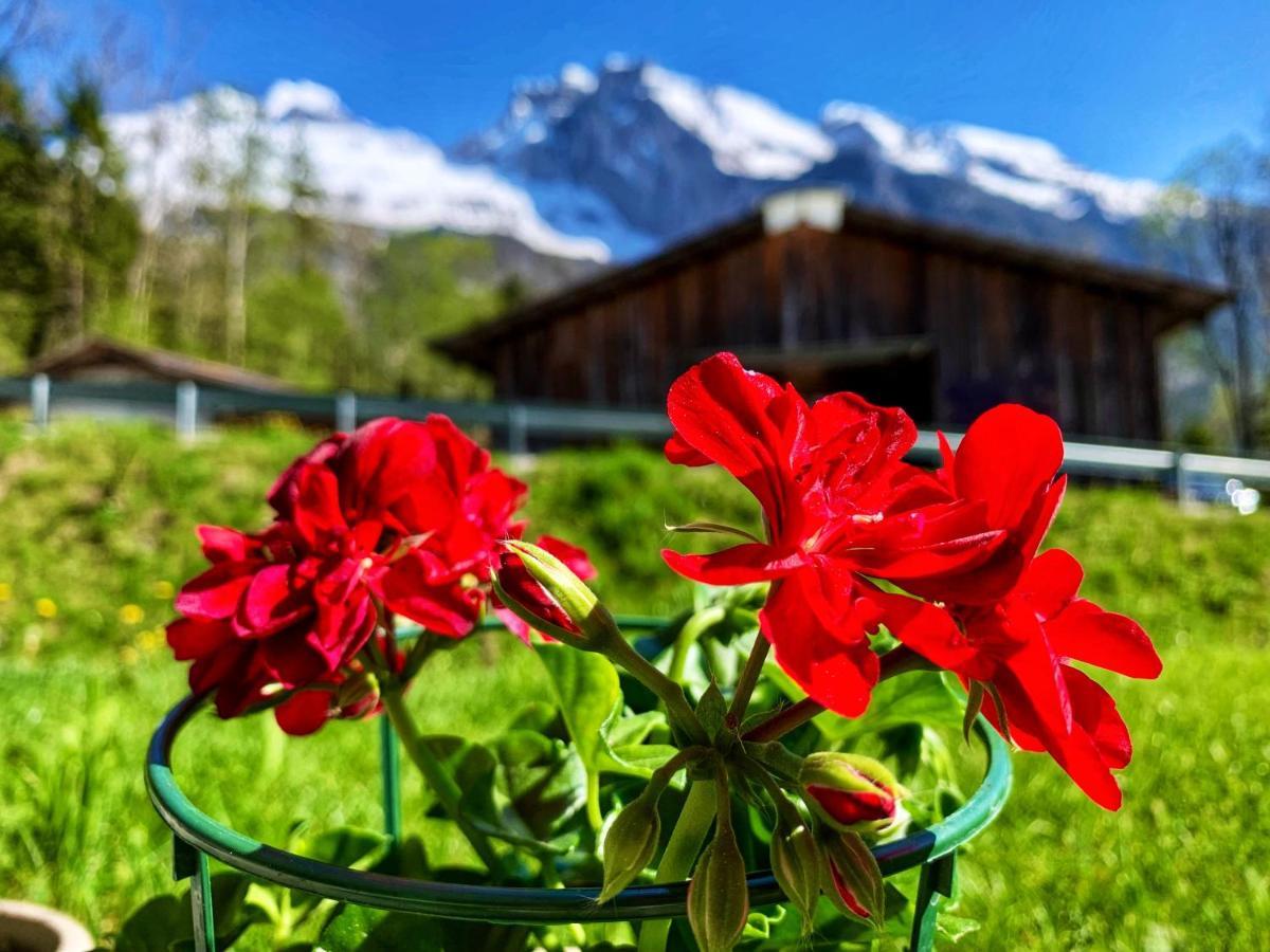Bueelbad - Relax Holiday Apartment Kandersteg Luaran gambar