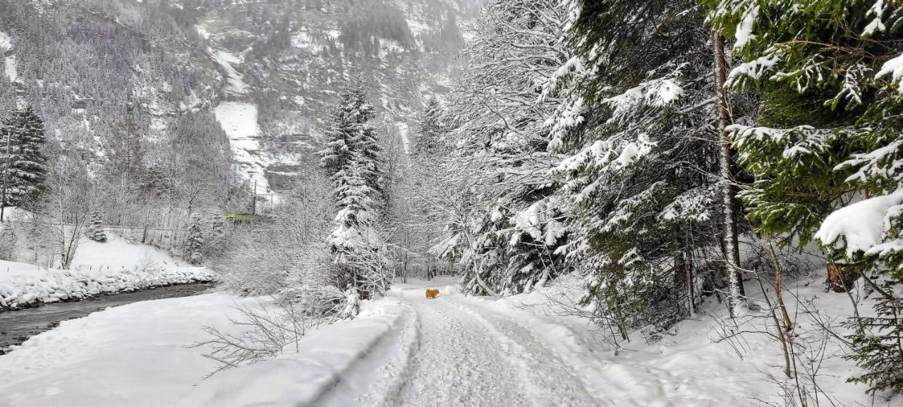 Bueelbad - Relax Holiday Apartment Kandersteg Luaran gambar